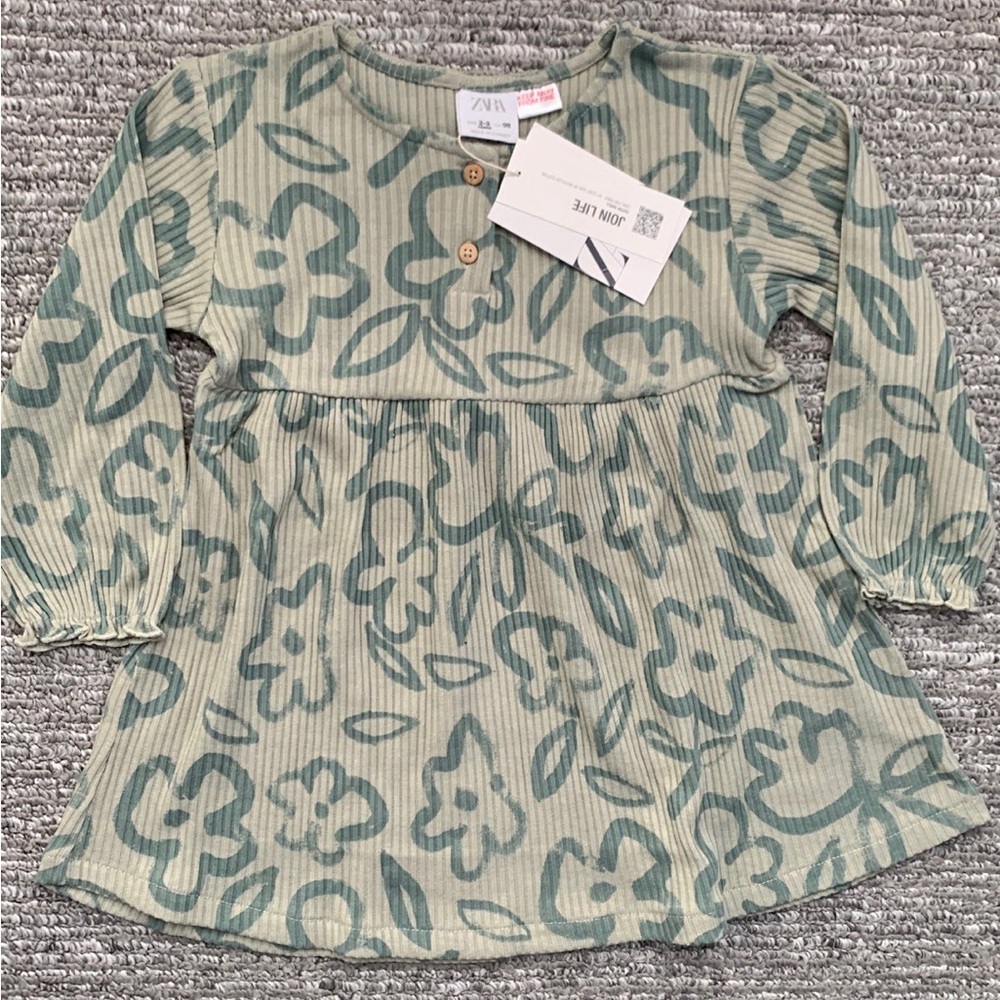 Zara Dress